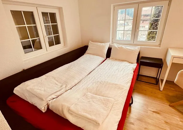 Gemuetliches Fuer Familien Und Gruppen Appartement *